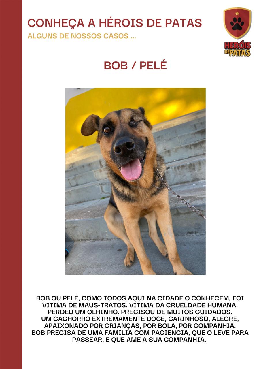 Bob Pelé