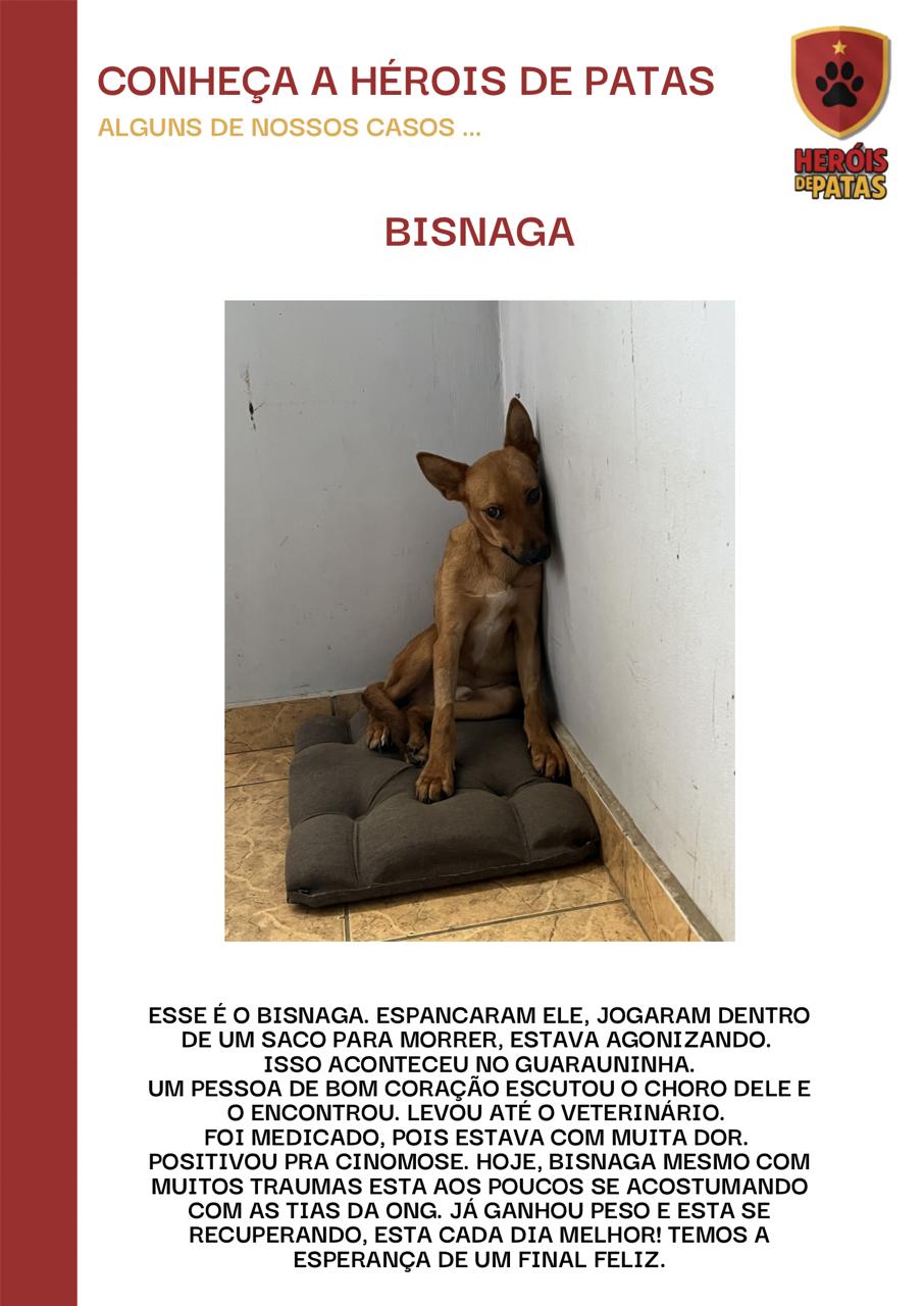 BISNAGA