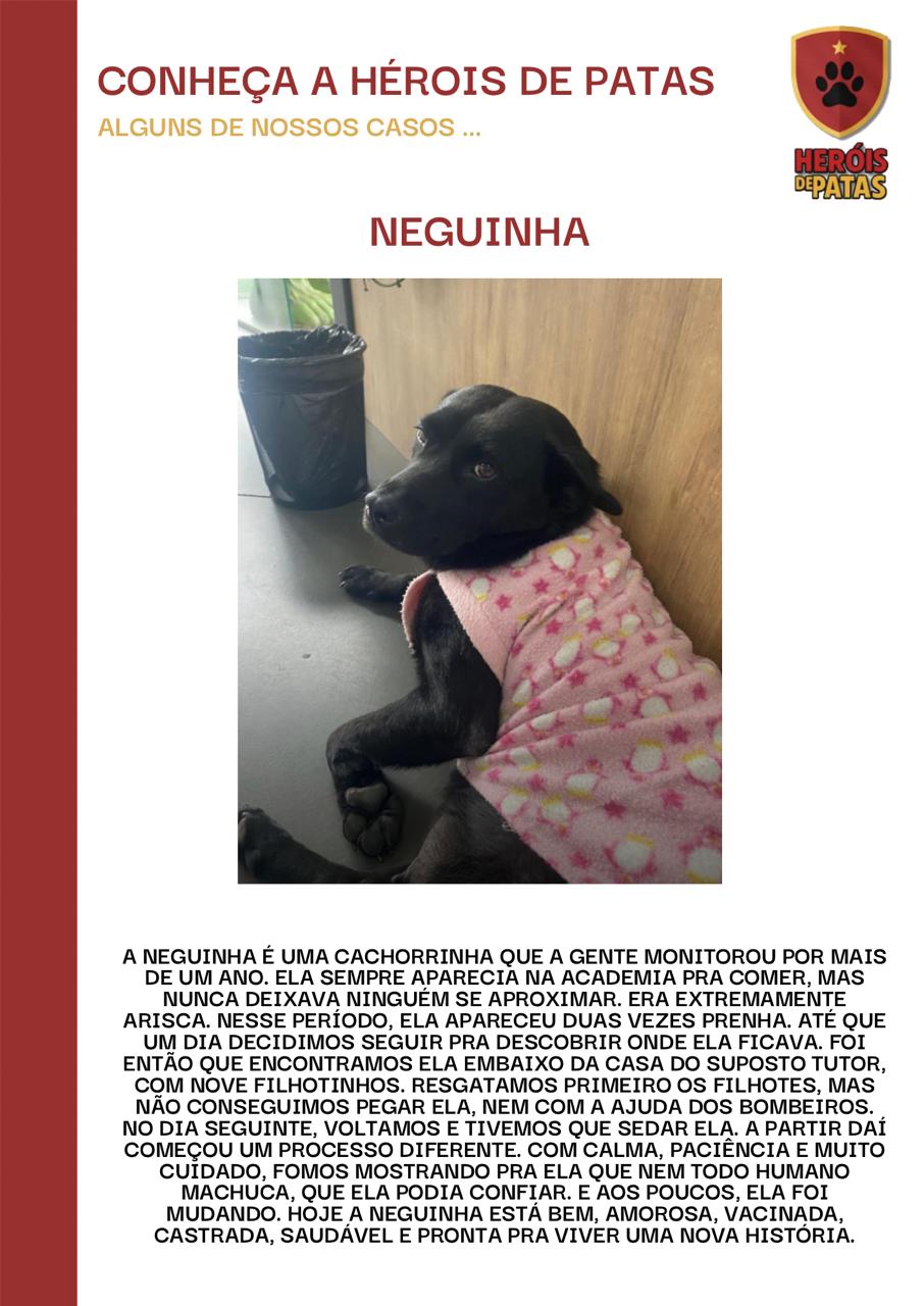 NEGUINHA