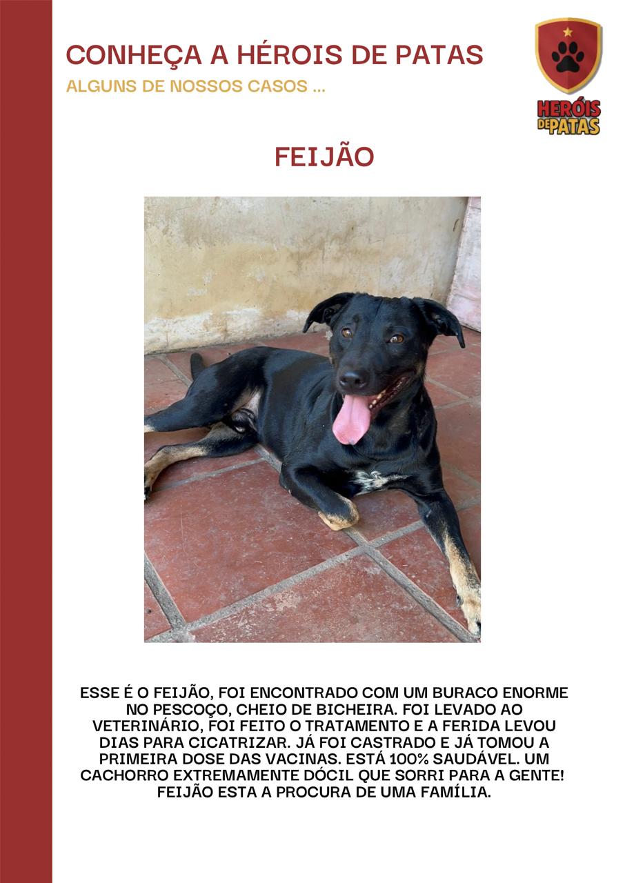 Feijão