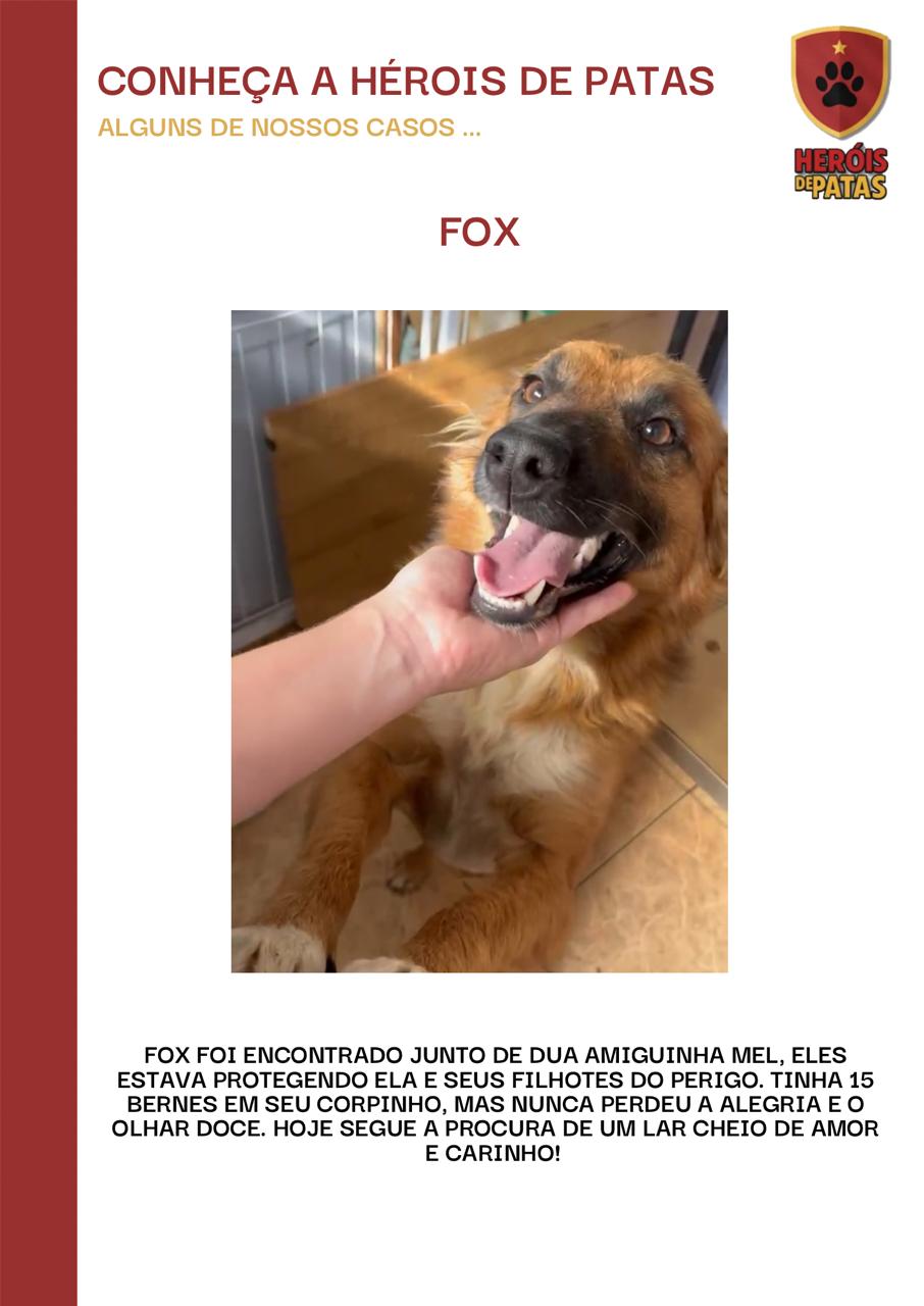 Fox