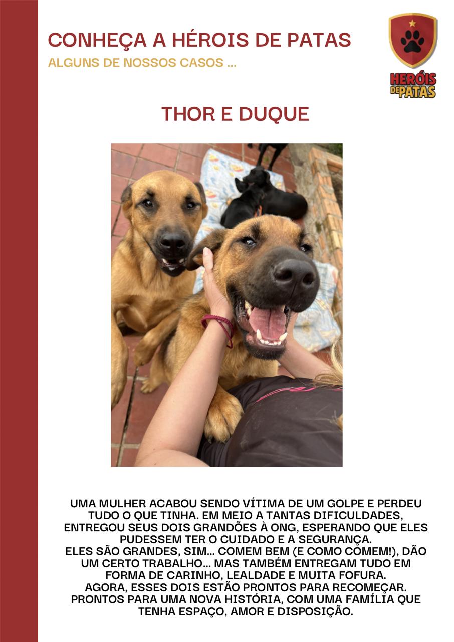 Thor e duque